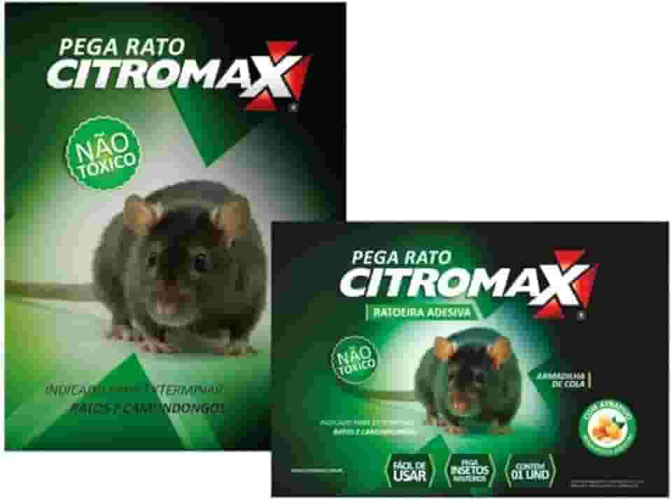 Ratoeira adesiva pega rato camundongo kit com 12 unidades