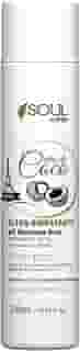 Shampoo Hidratante Profissional Com Óleo de Coco e D-Pantenol Soul Care – Reparação e Nutrição Capilar (300ml)
