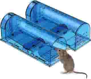Armadilha humana para mouse | captura e solte ratoeiras que funcionam | Armadilha para ratos sem matar para ratos/roedores seguro para animais de estimação (Cão/Gato) Melhor gaiola de captura pequena