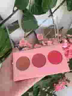 Phállebeauty Paleta De Blush 12G Ph0318 Phallebeauty