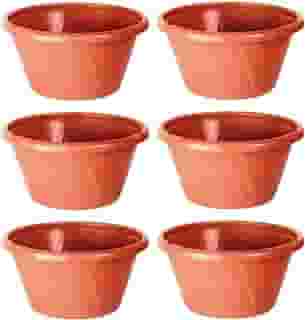 Kit 6 Vaso/cuia De Plástico Terracota Resistente Com Prato Antidengue Cuia 22 Nobre Cerâmica Para Rosa do Deserto…