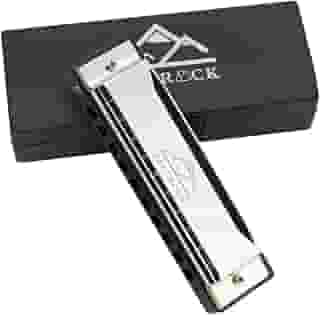 EastRock Blues Harmonica boca órgão harpa 10 furos chave C com capa, gaita diatônica para iniciantes, jogadores profissionais, presentes para estudantes, adultos, amigos, presente prata