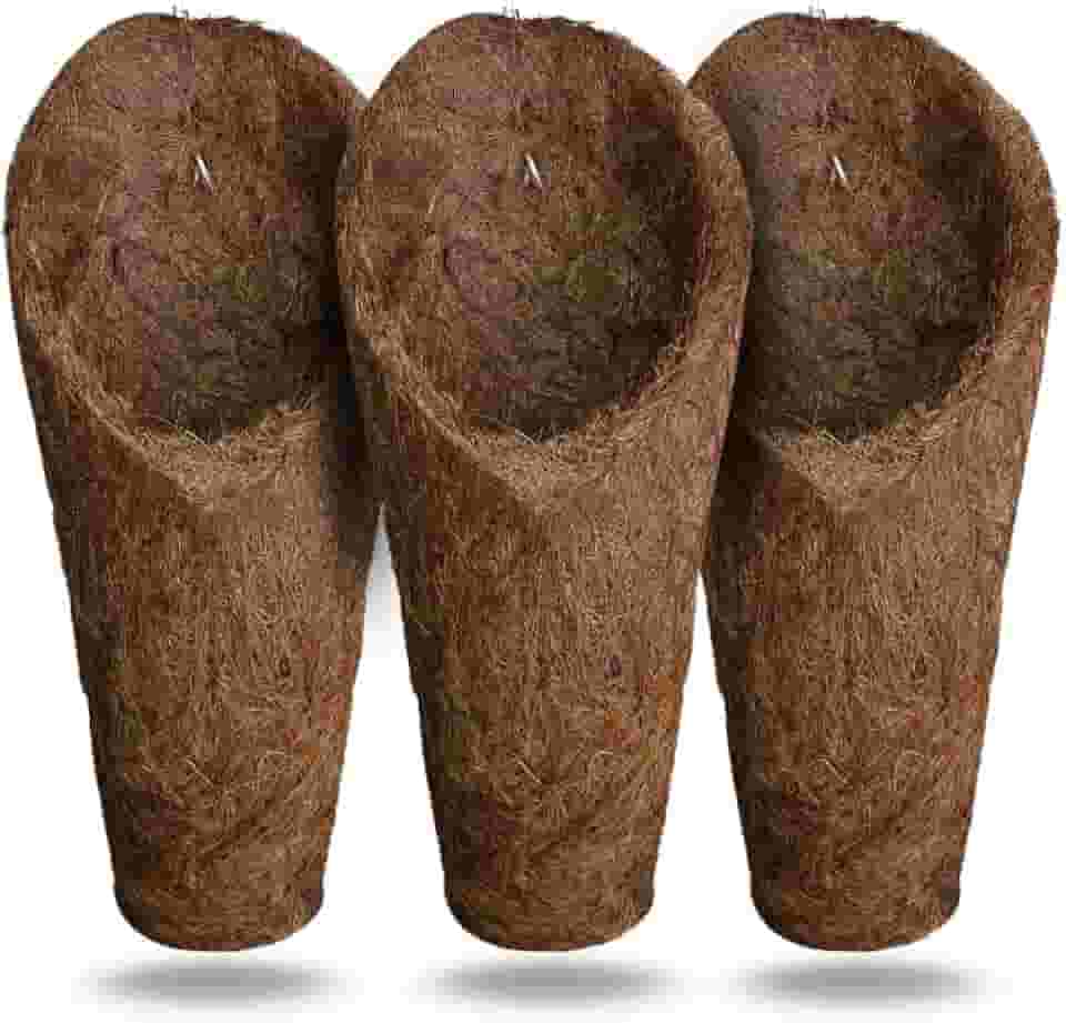 Kit 3 vaso para Orquídeas em Fibra de Coco modelo Concha, tamanho "M", Resistente à Água, Leve e Durável, para Jardinagem e Decoração