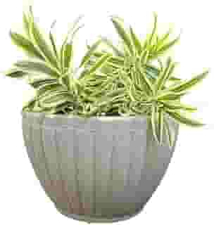 VASOS POLIETILENO BACIA GREGA DECORATIVO P/PLANTAS/JARDINS/ESCRITÓRIOS LUXO (BEGE)