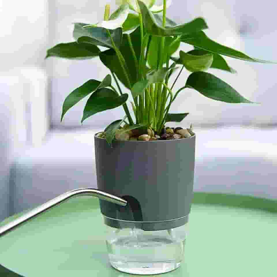 Vasos de flores autoirrigáveis, vasos autoirrigáveis para plantas de interior, vasos de plástico com corda de algodão absorvente (cinza, 8,2 x 11,3 cm)