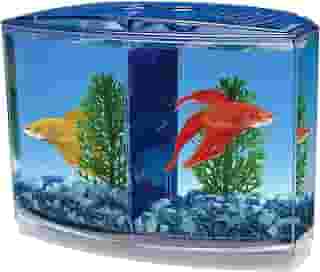 Penn-Plax Kit Penn Plax Twin Beta Bow-Front Para Aquarium Blue Green Tank Tem 19 Cm Na Frente 15 Cm Na Parte De Trás