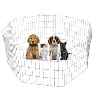 Cercadinho Pet Dobrável para Cachorros de Pequeno Porte - Cercado Móvel com 8 Módulos de Telas de 60 cm de Altura