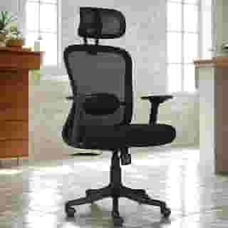 Cadeira de Escritório Ergonômica NR 17 Tela Mesh, Apoio Lombar Ajustável, Reclinável 3 Posições Duoffice DU355 Viper