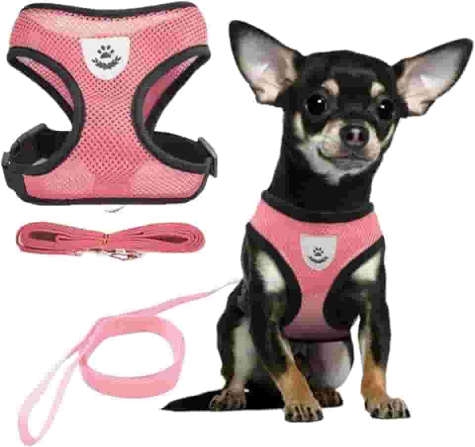 Coleira Peitoral Anti Puxão com Guia para Cães e Gatos – Ideal para Filhotes, Pinscher, Shi Tzu e Raças de Porte Pequeno a Médio – NEXUS MARKET (M, ROSA)