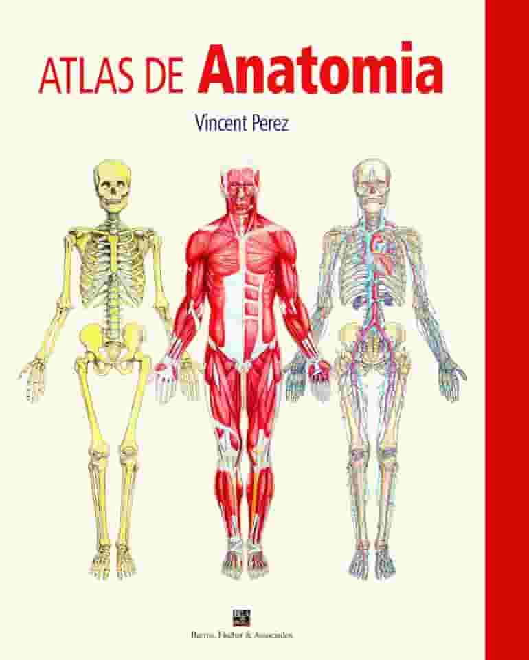 Atlas de Anatomia (Volume 1)