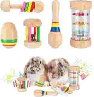 MEWTOGO 5 peças de brinquedos de coelho de madeira – brinquedos de coelho seguros, brinquedos multicoloridos resistentes a mordidas de porquinhos-da-índia para chinchilas, hamsters, pequenos animais