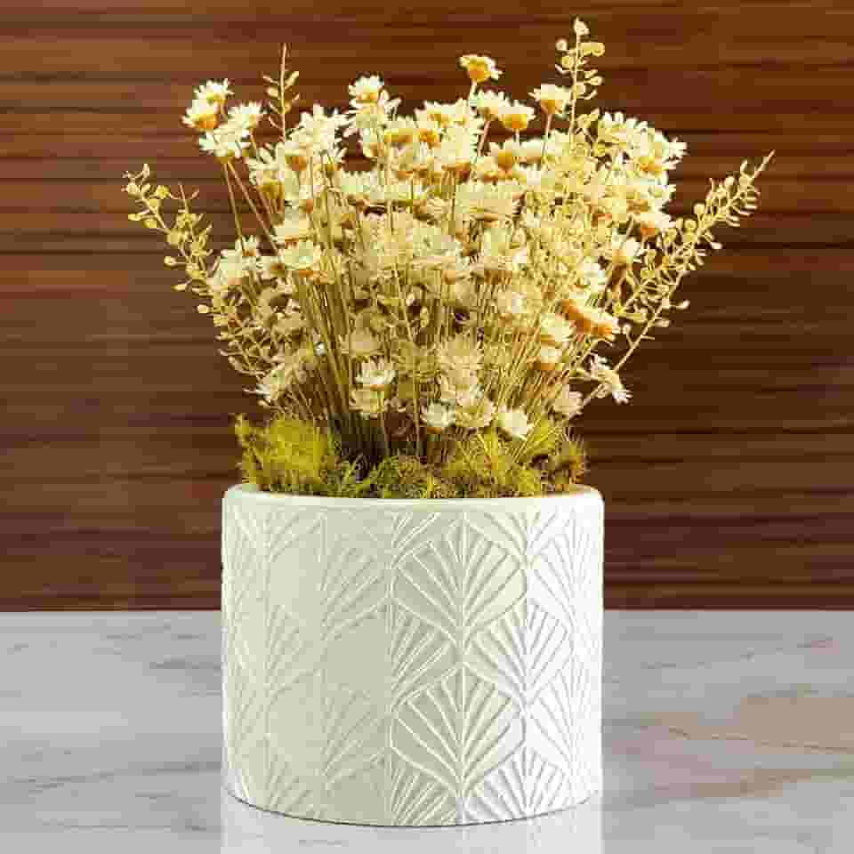 Arranjo de Flores Sempre-Vivas Naturais em Vaso Decorativo, 15 cm, Branco com Padrão Art Déco (1)