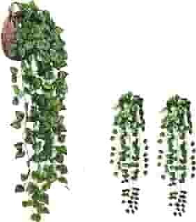 kit 2 Planta Artificial Pendente Folhagem Peperomia Decoração para Vaso Toque Realista