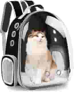 Mochila para gatos XZKING, mochila transparente para acampamento e caminhadas (preta)