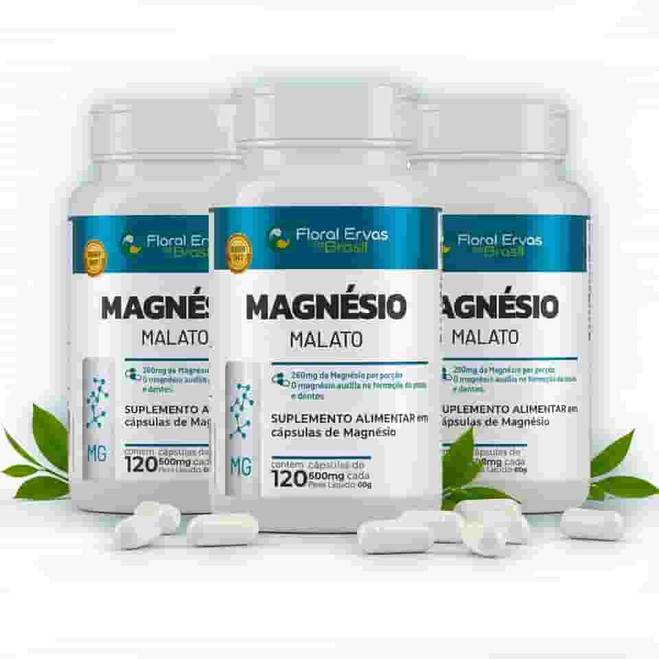 Kit 3x Magnésio Malato 600 mg – 360 Cápsulas total | Floral Ervas do Brasil | Auxilia no Funcionamento Muscular, Neuromuscular e Metabolismo Energético