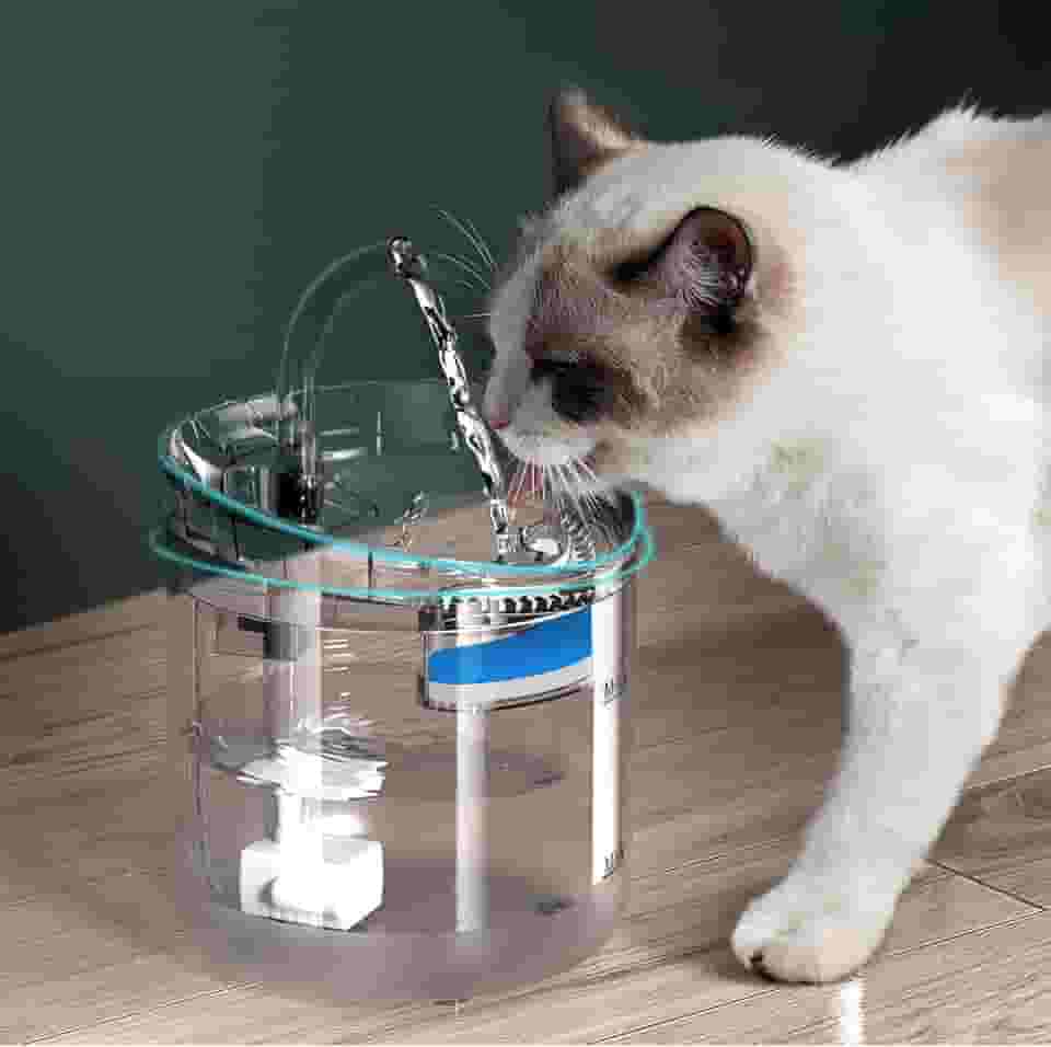 Bebedouro Tipo Fonte Com Filtro, Fonte Bebedouro de água para Gatos, Bebedouro para Animais de Estimação - Design Ergonômico, Portátil- 1,8L de Capacidade