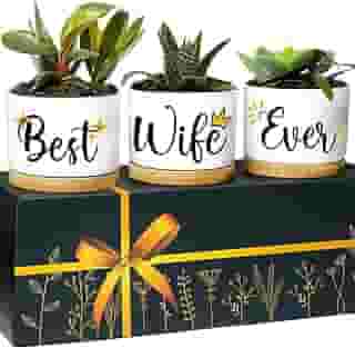 Rosa Vila Plantadores de esposa, presentes de aniversário para esposa do marido, presente de aniversário exclusivo para mulheres, melhores presentes para esposa, ideias de presente de aniversário para