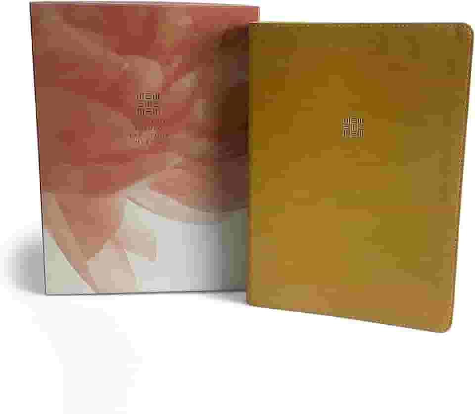 Bíblia de Estudo para Toda Mulher (NVT) - Capa Bege