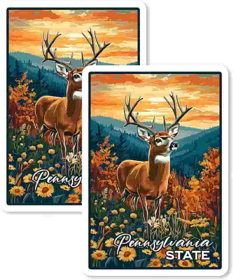 Ímã do Estado da Pensilvânia 10 cm, 2 unidades, vinil, para lembrança, presente, geladeira, geladeira, lava-louças, ID 44999