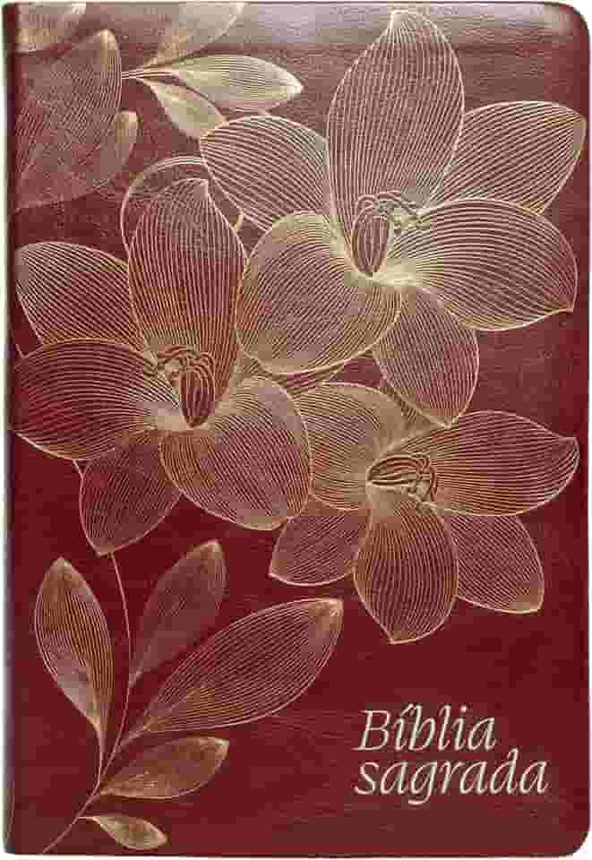 Bíblia NVI, Letra Gigante, Couro-soft vinho, Leitura Perfeita: Bíblia Sagrada Nova Versão Internacional