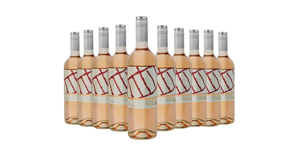 10 Melhores Vinhos Chilenos Bons e Baratos: Guia