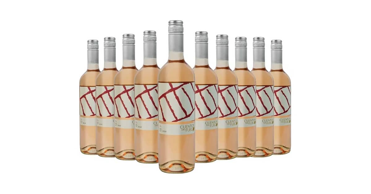 10 Melhores Vinhos Chilenos Tintos: Guia de Rótulos de Elite