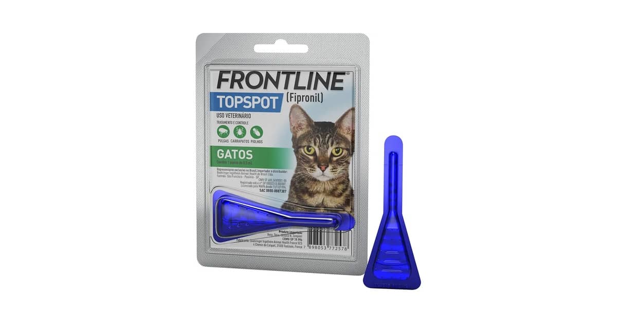 Melhor Antipulgas para Gatos: Pipeta, Coleira ou Pílula?