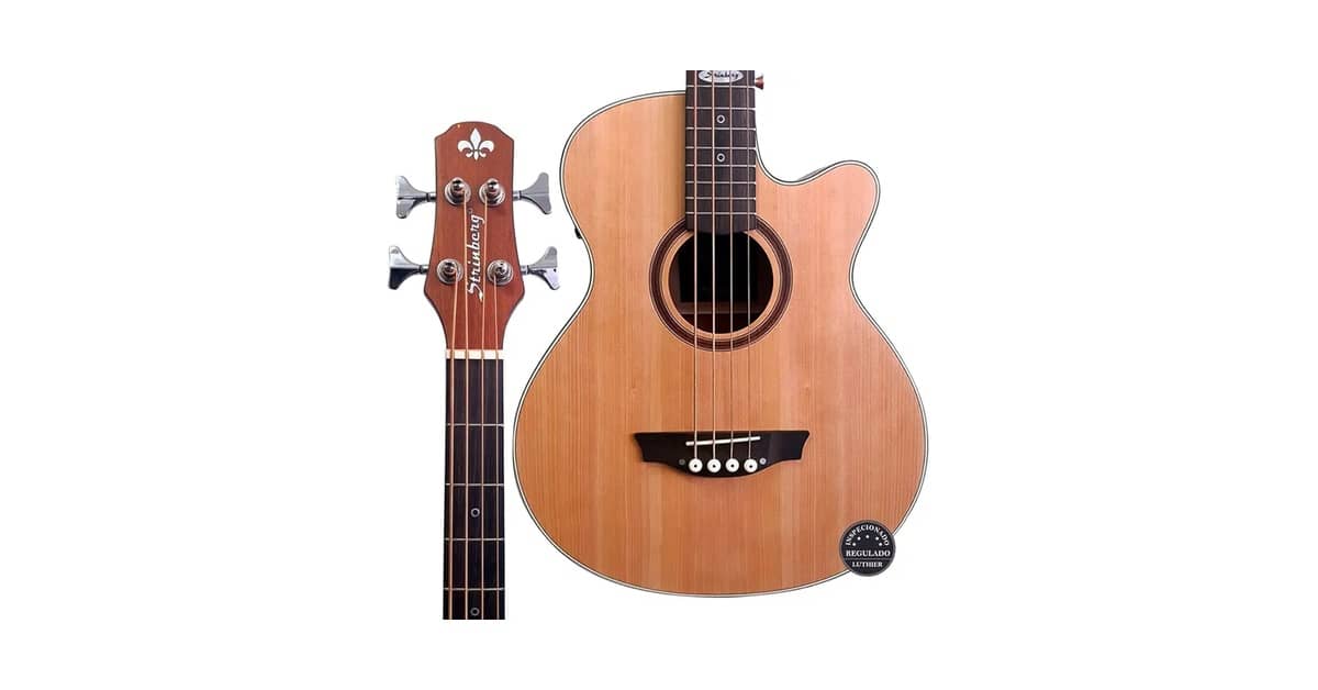 Melhor Baixolão: 5 Opções Para Músicos Iniciantes e Profissionais