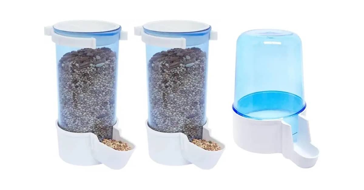 Melhor Bebedouro para Calopsita: Escolha Ideal!