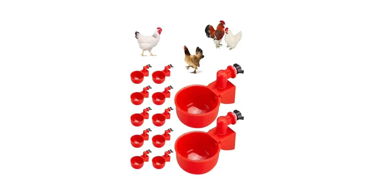 Melhor Bebedouro para Galinha: Controle Automático Essencial!