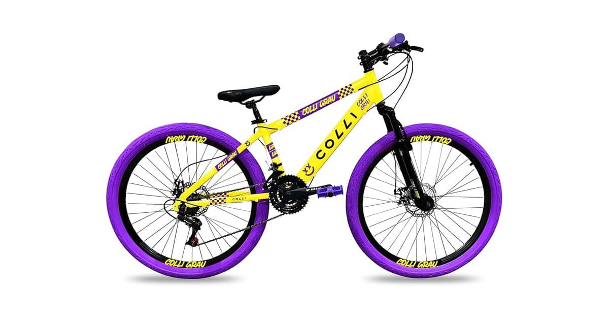 Melhor Bicicleta para dar Grau Barata: 5 Opções Acessíveis