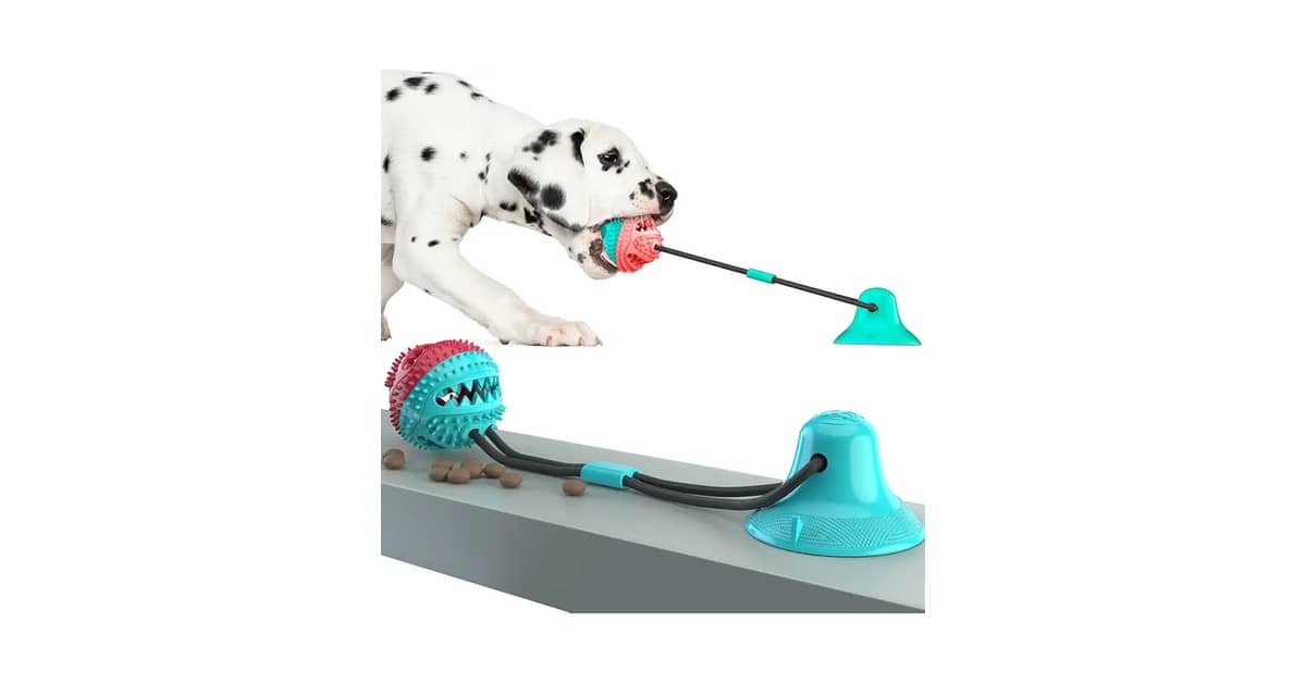 Melhor Brinquedo para Cachorro que Fica Sozinho: 10 Opções Anti-Tédio