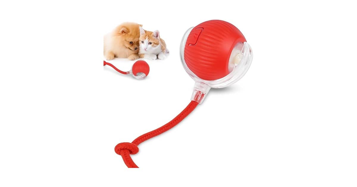 Melhor Brinquedo para Cachorro: Diversão e Segurança Garantida!