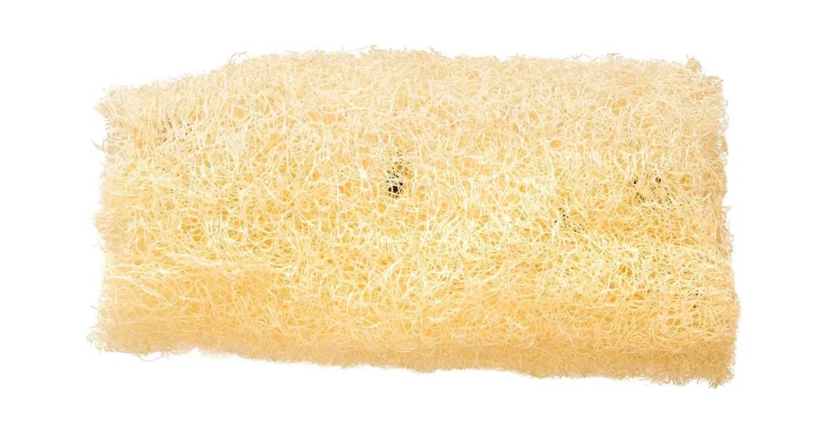 Melhor Bucha para Tomar Banho: Esfoliação Profunda e Limpeza!