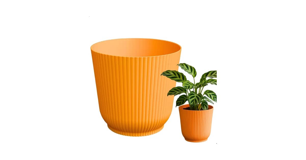 Melhor Cachepô: 10 Modelos com Design e Funcionalidade