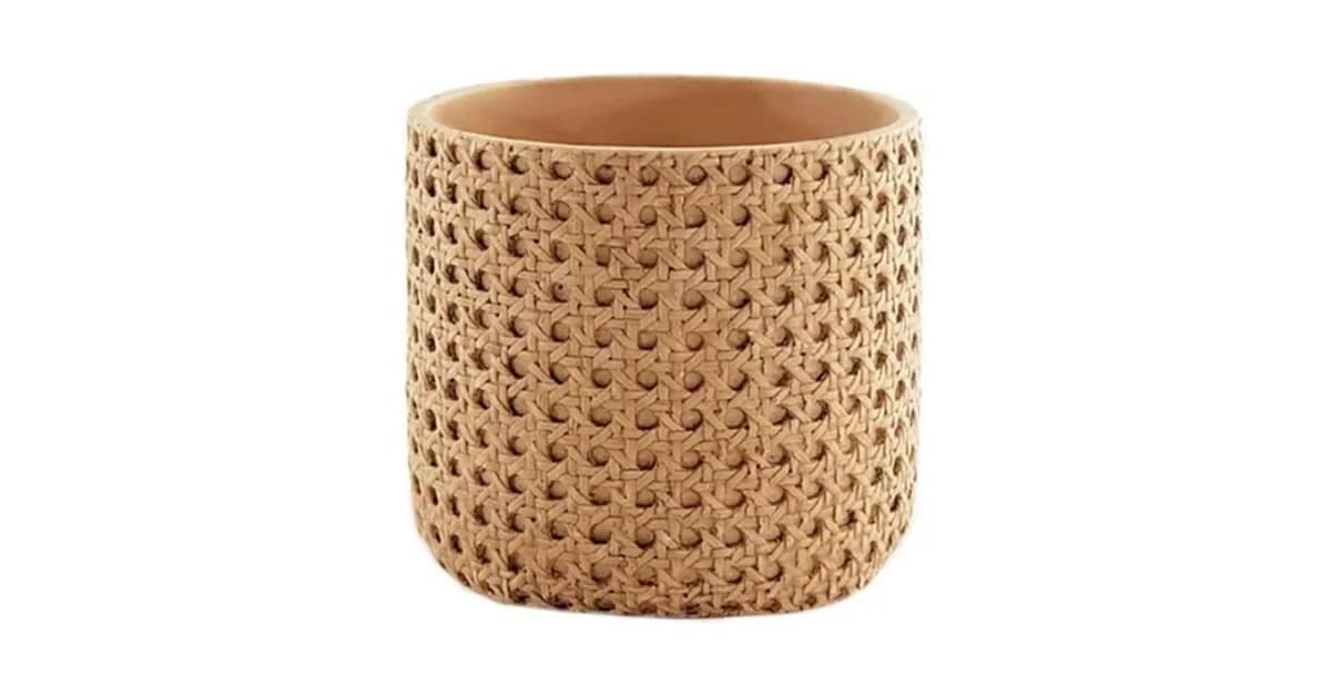 Melhor Cachepot: Cimento, Cerâmica ou Fibra Natural?