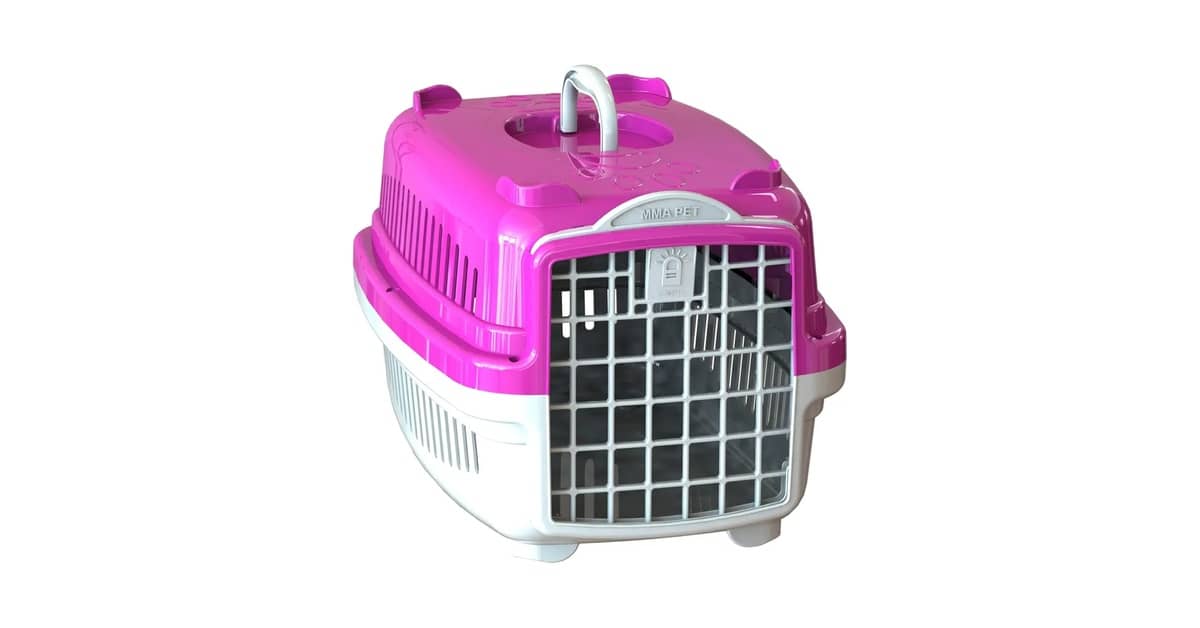 Melhor Caixa de Transporte para Gatos: Rígida ou Bolsa?