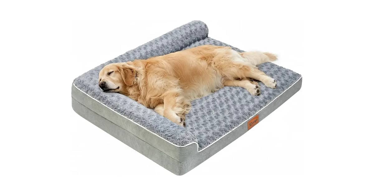 Melhor Cama para Cachorro Idoso: Conforto e Suporte Garantidos!