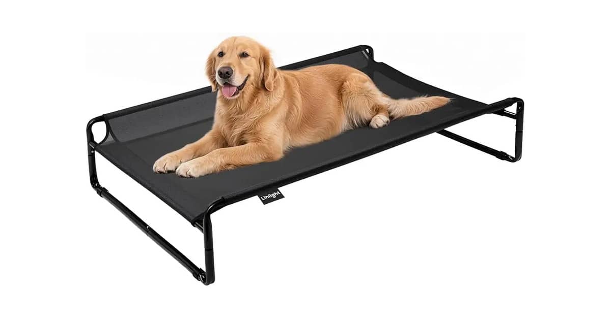 Melhor Cama Suspensa para Cachorro: Conforto e Durabilidade