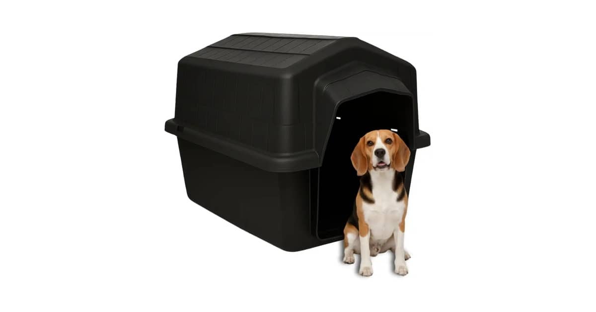 Melhor Casa de Cachorro: Proteção e Conforto para Seu Pet!