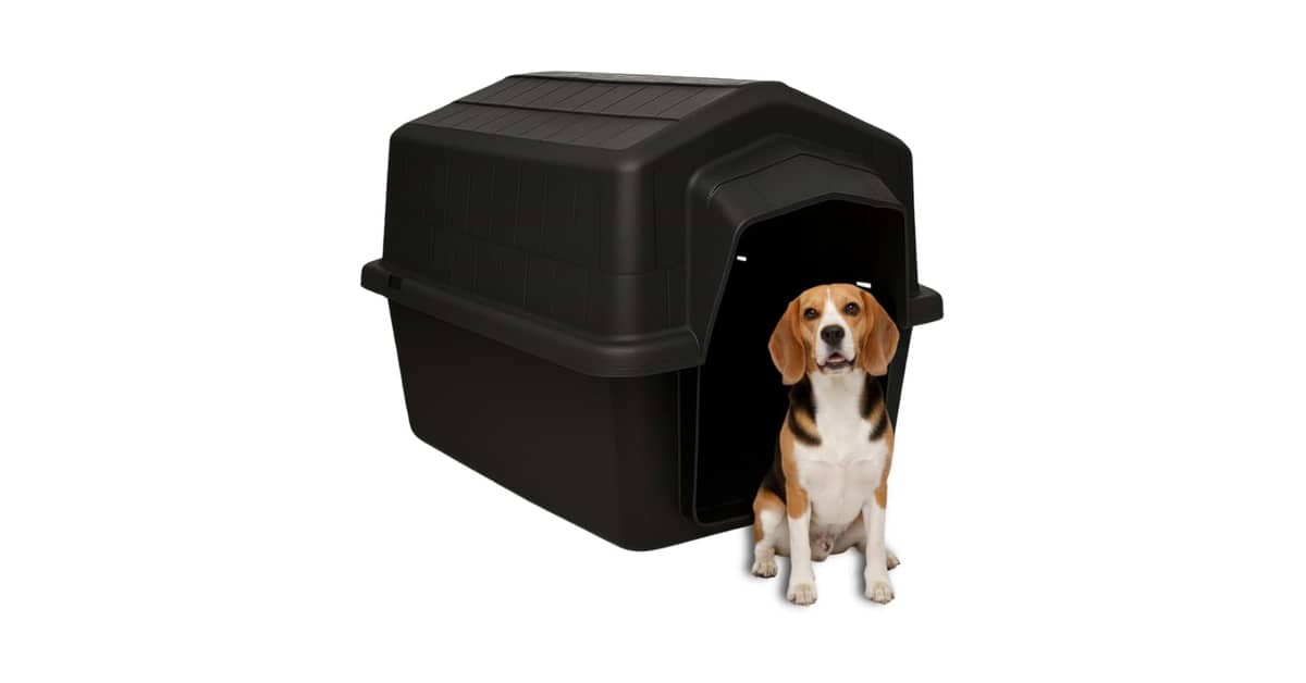 Melhor Casa para Cachorro: Plástico ou Madeira?