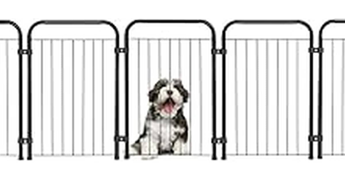 Melhor Cercado Para Cachorro: Tamanho vs. Material