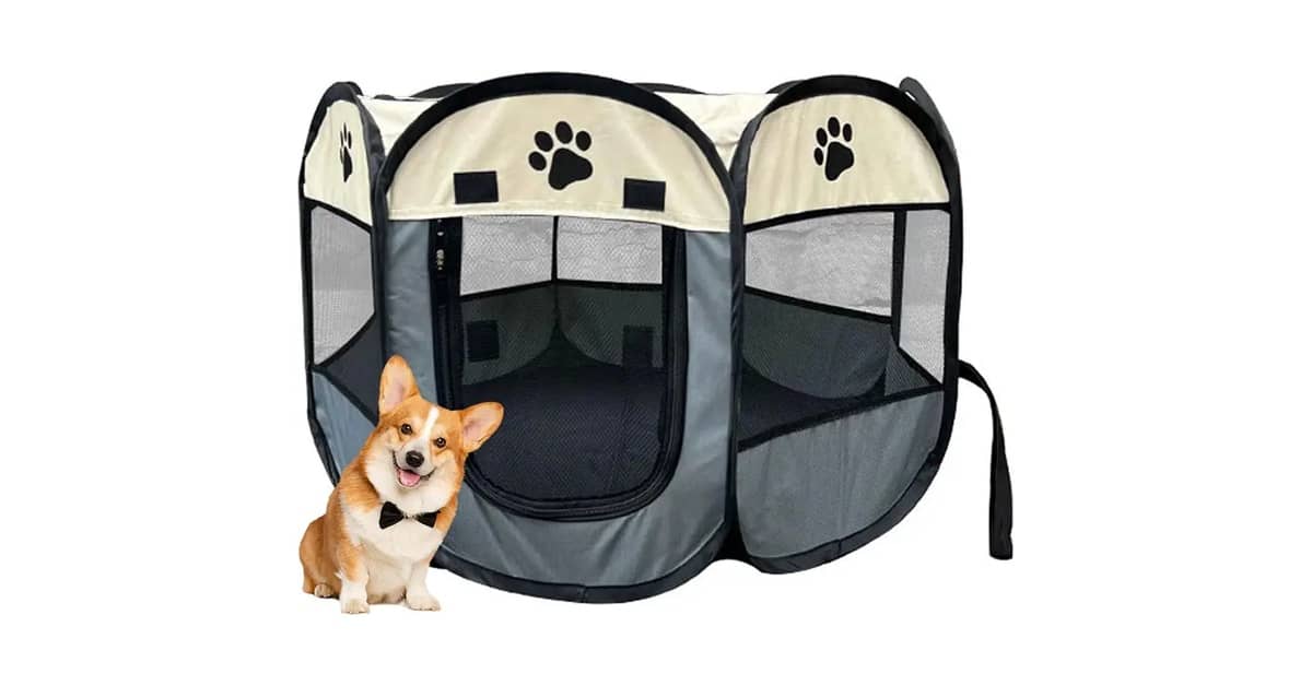 Melhor Cercado para Gato: Portátil ou Modular?