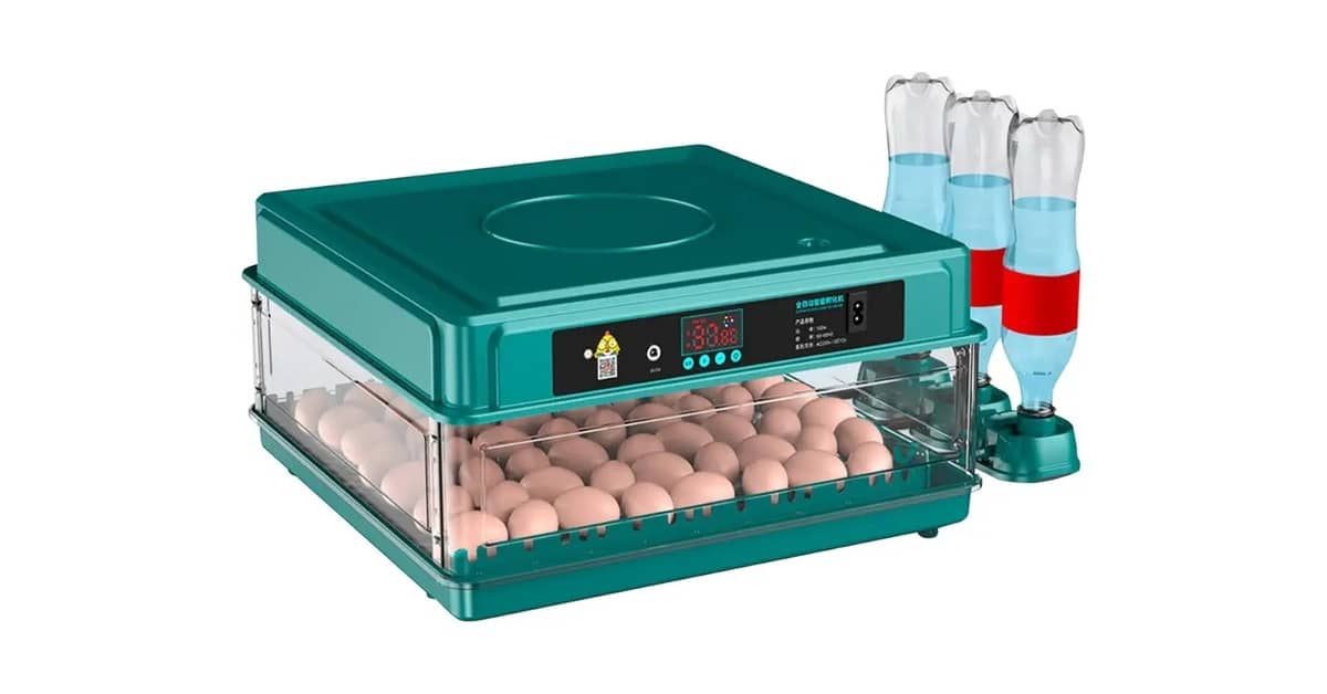 Melhor Chocadeira do Brasil: 7 Modelos com Controle Automático