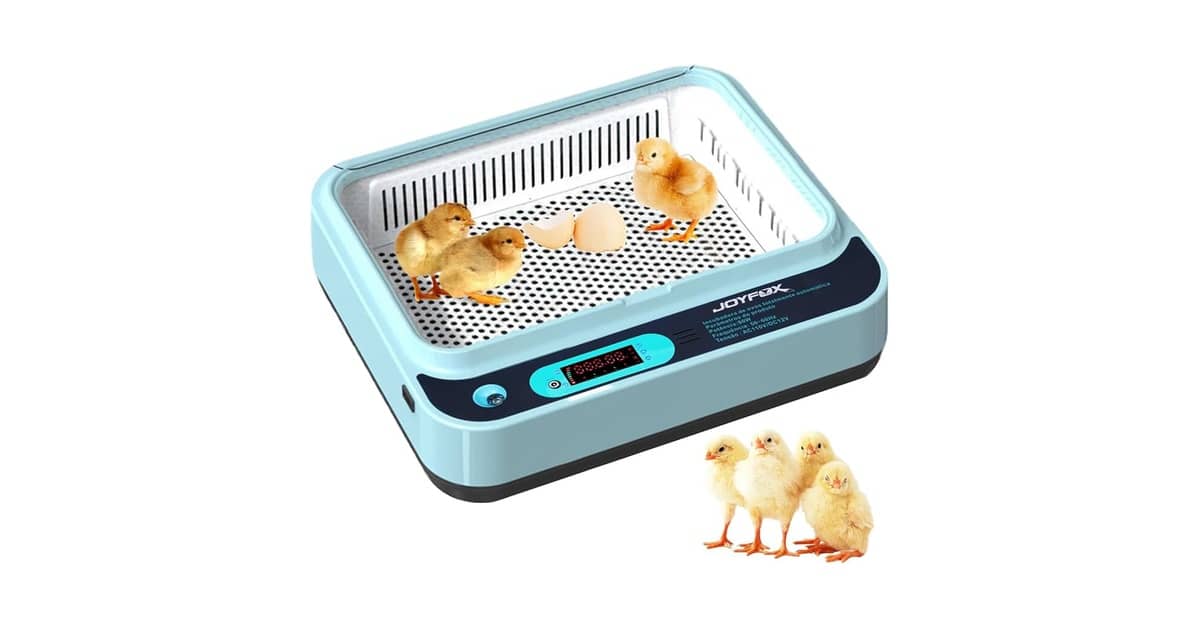 Melhor Chocadeira Incubadora de Ovo: 10 Modelos Eficientes