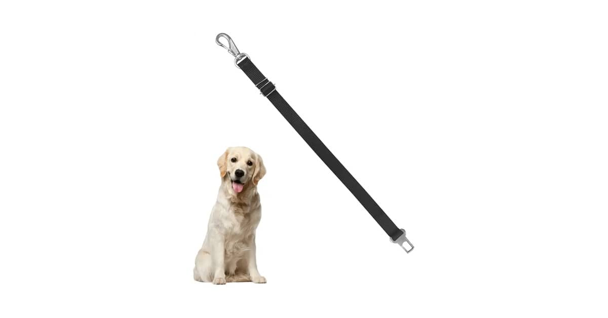 Melhor cinto de seguranca para cachorro: Guia dos tipos