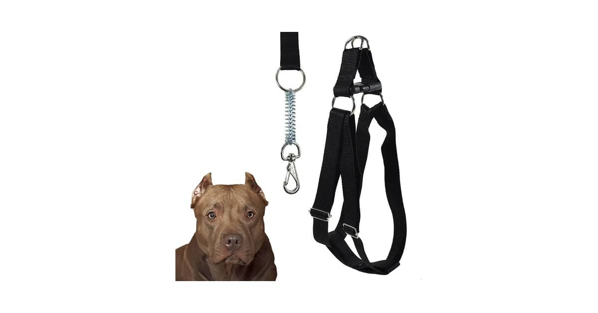 Melhor Coleira para Cachorro Grande: Segurança e Conforto