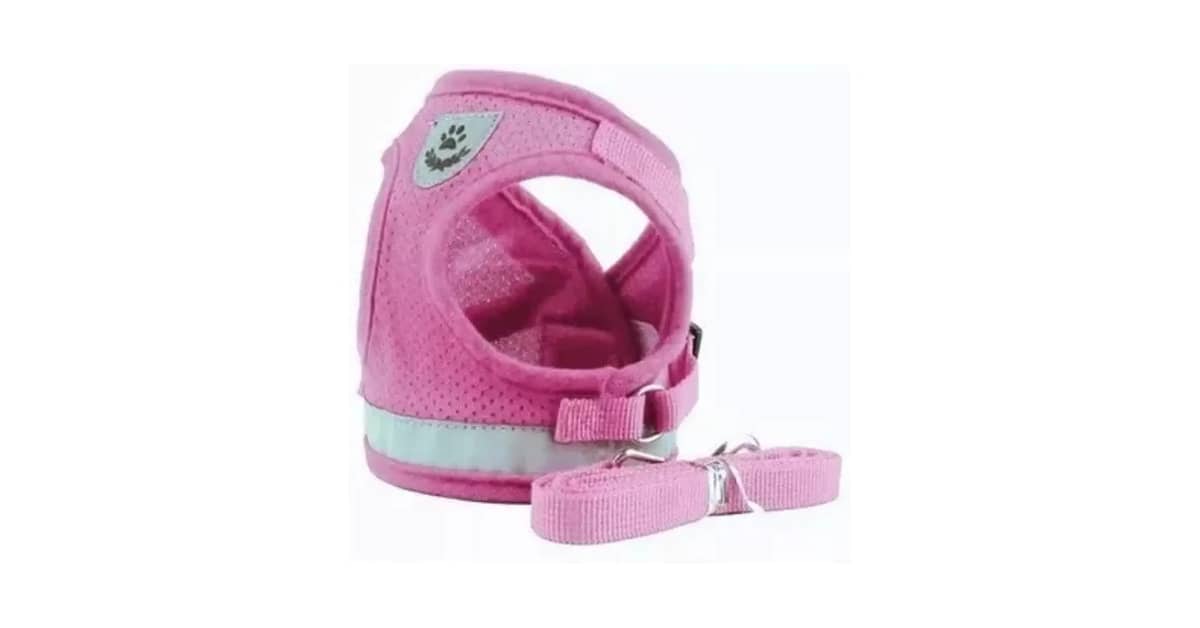 Melhor Coleira para Cachorro Salsicha: Conforto e Segurança!