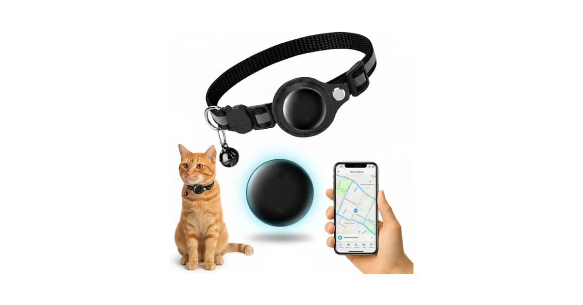 Melhor Coleira Rastreadora para Gatos: Guia Completo