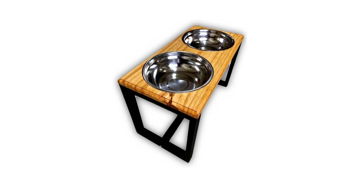 Melhor Comedouro e Bebedouro para Cachorro: Qual o Ideal?